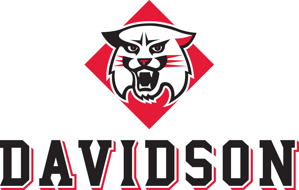 Davidson Wildcats 2010-Pres Alternate Logo 02 iron on paper